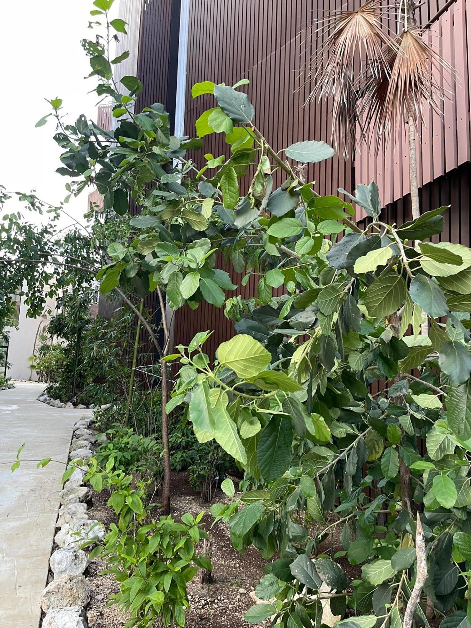 Arova By Seashore Cancun Appartement
